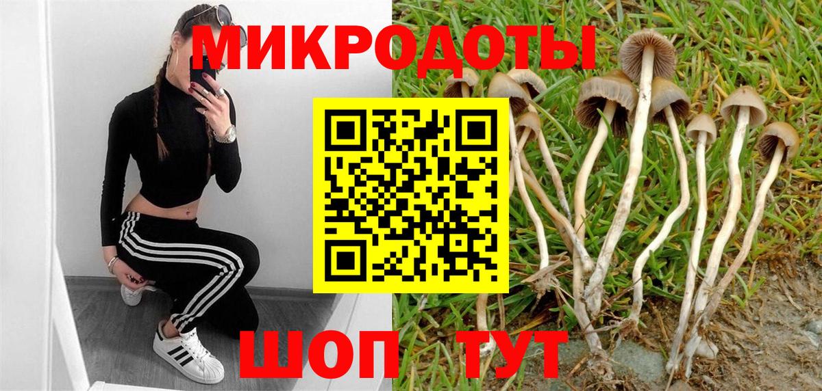 Каменск-Уральский  Псилоцибиновые грибы мицелий  Вход с VPN 